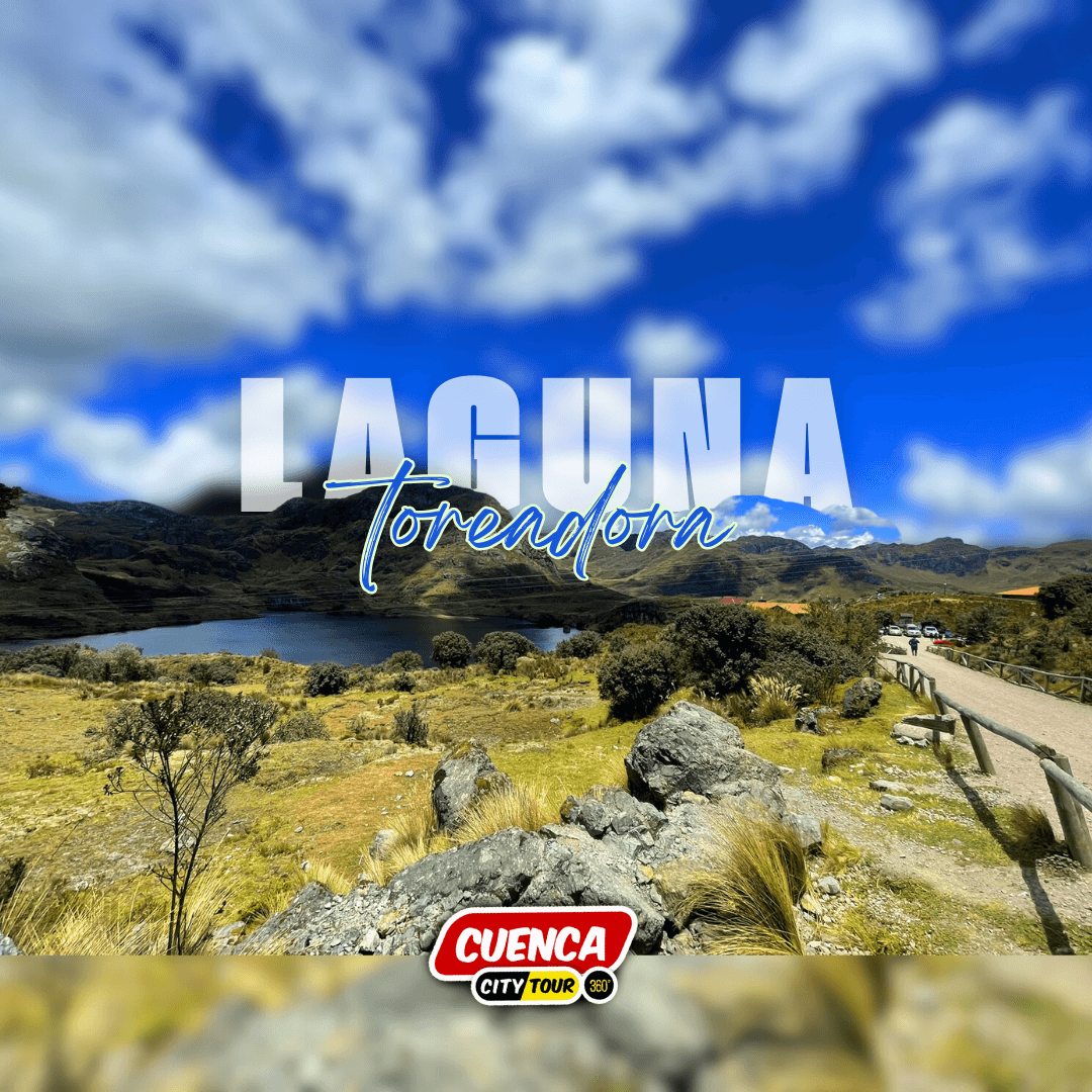 Cajas Express — imagen 4