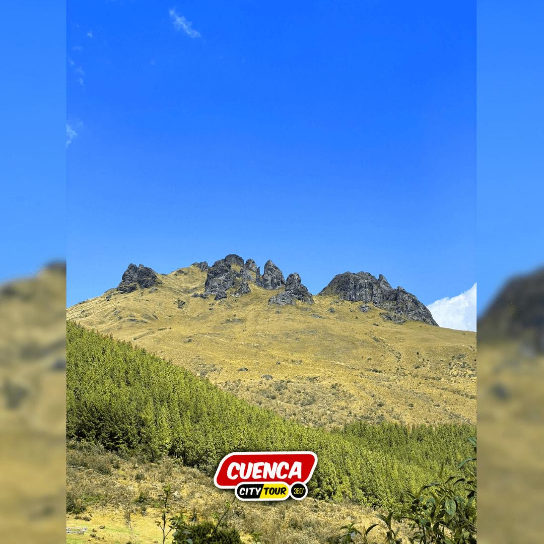 Cajas Full Day — imagen 4
