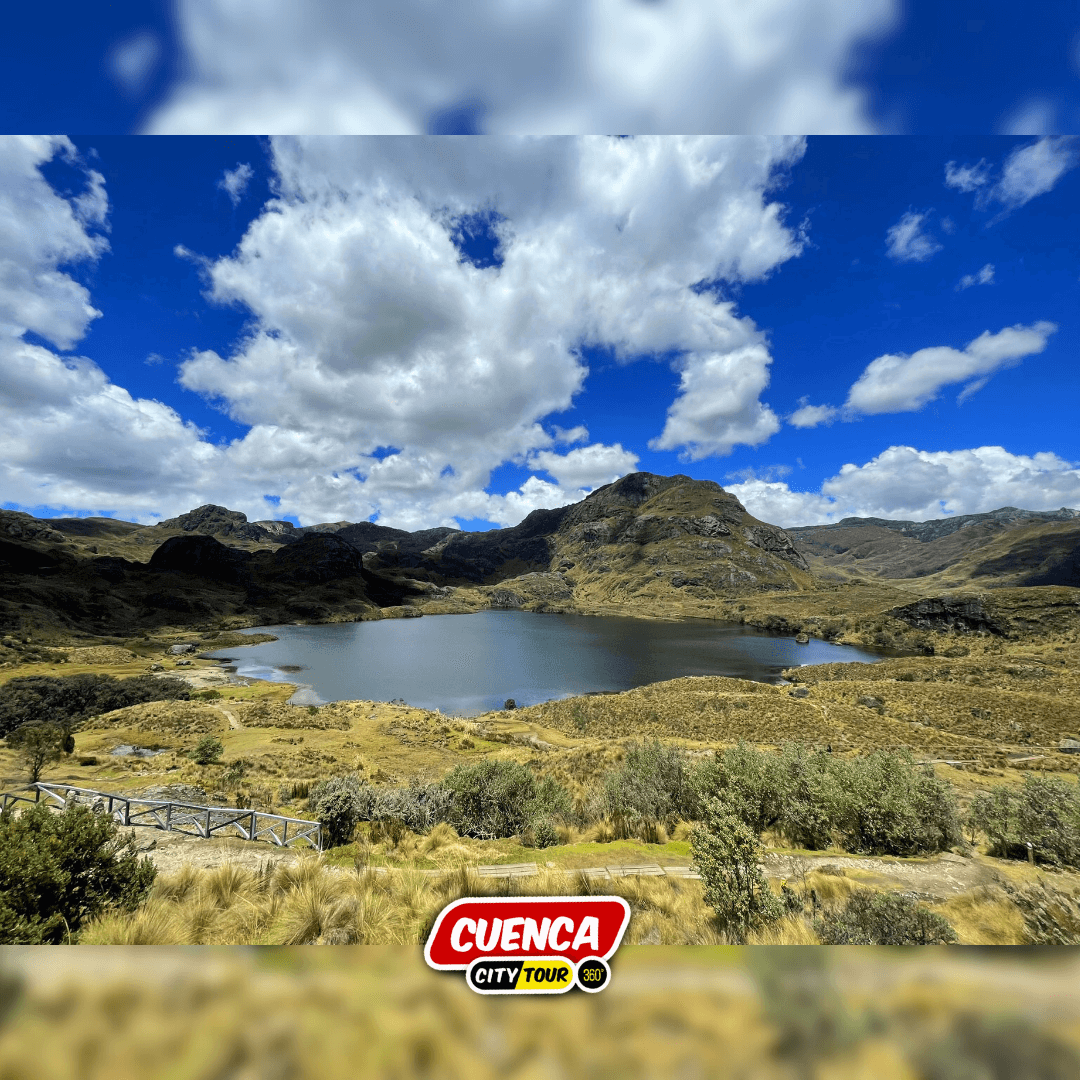 Cajas Full Day — imagen 6